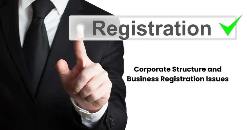 Corporate Structure and Business Registration Issues