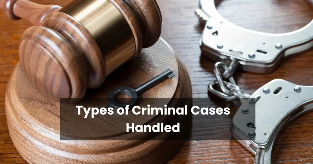 Types of Criminal Cases Handled